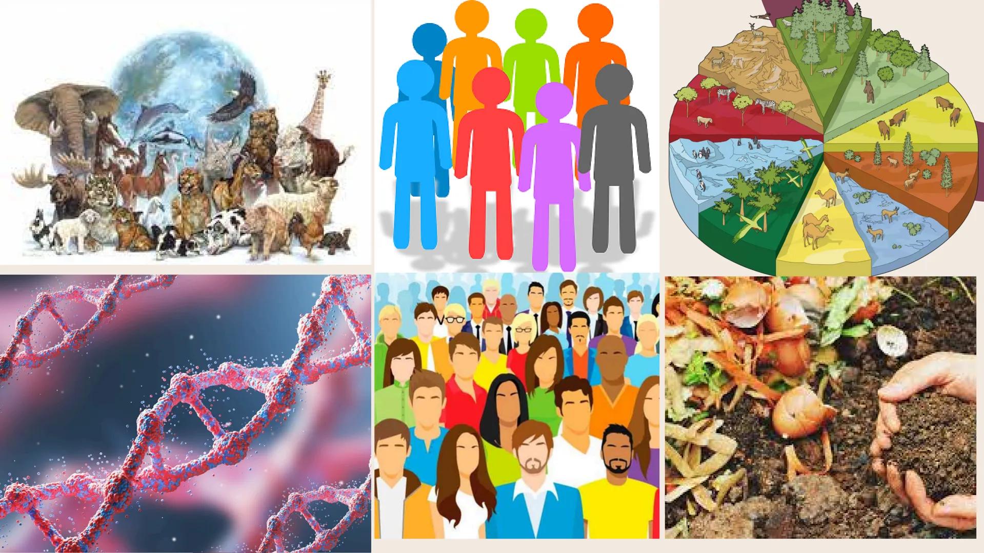 TERMINOS
ECOLOGICOS CONSEPTOS
BASICOS DE
ECOLOGIA ¿QUE SON?
la ecologia es una rama de la biologia que estudia las interacciones
de los sere