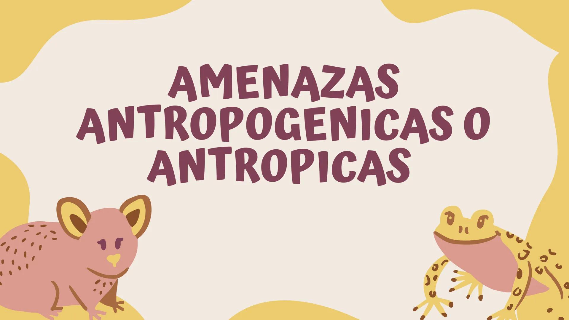 TERMINOS
ECOLOGICOS CONSEPTOS
BASICOS DE
ECOLOGIA ¿QUE SON?
la ecologia es una rama de la biologia que estudia las interacciones
de los sere