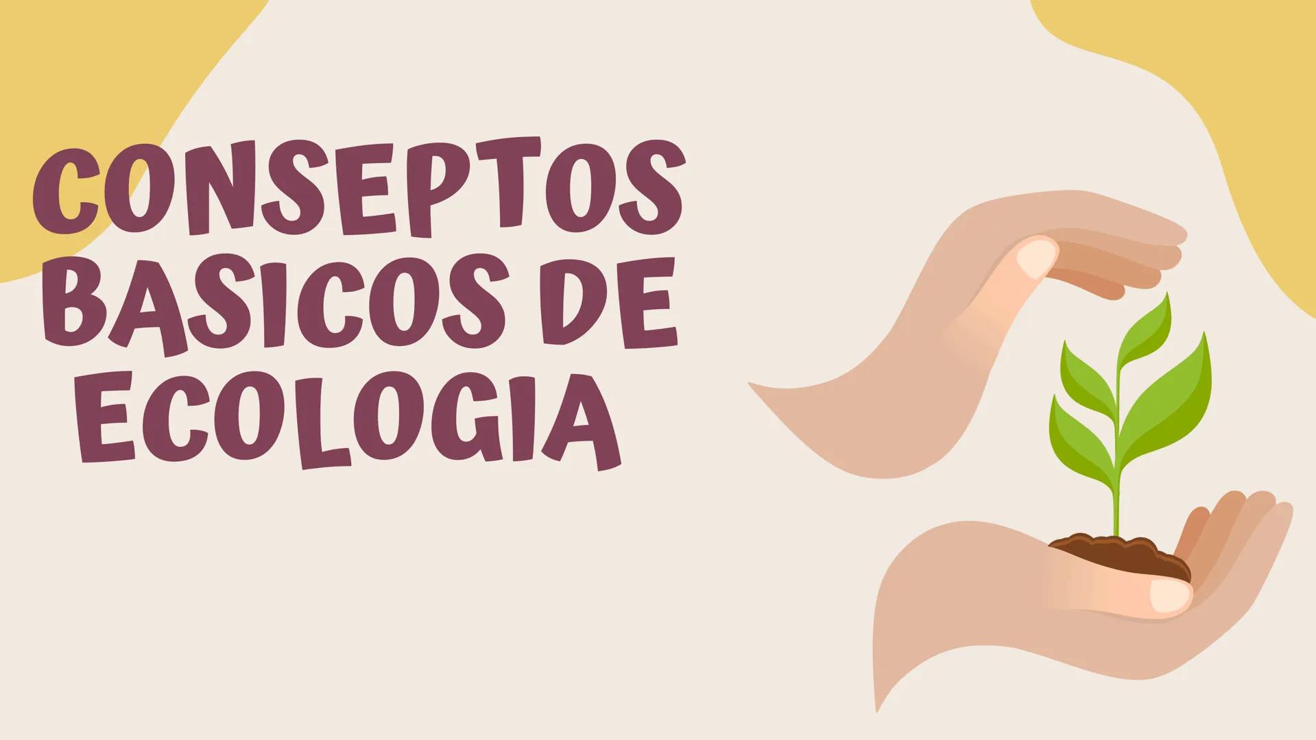 TERMINOS
ECOLOGICOS CONSEPTOS
BASICOS DE
ECOLOGIA ¿QUE SON?
la ecologia es una rama de la biologia que estudia las interacciones
de los sere