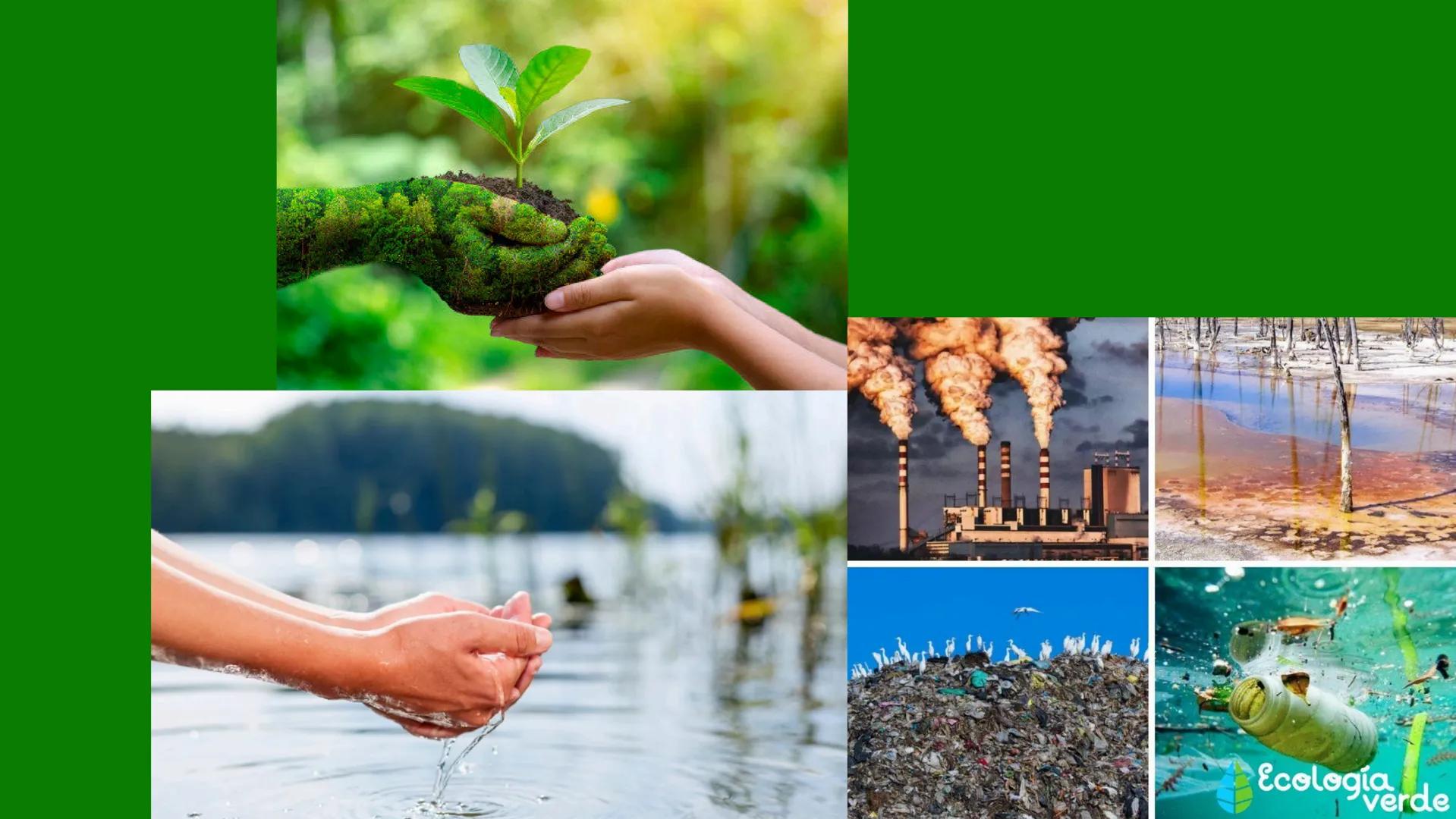 TERMINOS
ECOLOGICOS CONSEPTOS
BASICOS DE
ECOLOGIA ¿QUE SON?
la ecologia es una rama de la biologia que estudia las interacciones
de los sere