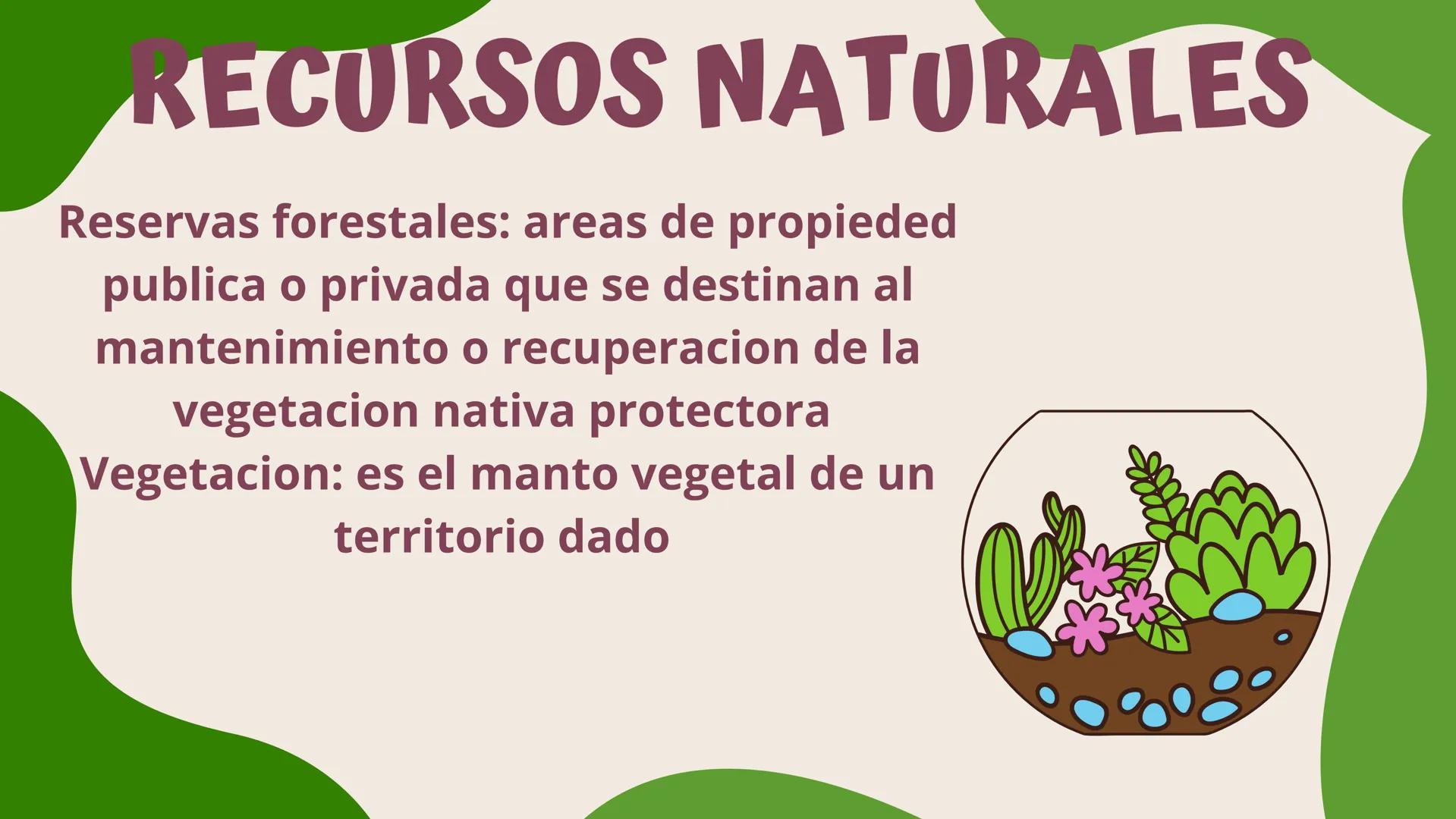 TERMINOS
ECOLOGICOS CONSEPTOS
BASICOS DE
ECOLOGIA ¿QUE SON?
la ecologia es una rama de la biologia que estudia las interacciones
de los sere