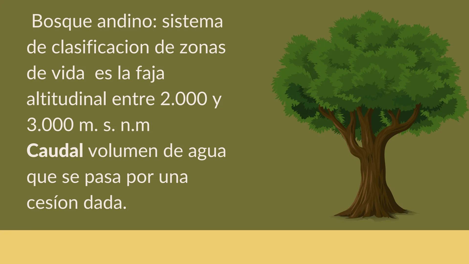 TERMINOS
ECOLOGICOS CONSEPTOS
BASICOS DE
ECOLOGIA ¿QUE SON?
la ecologia es una rama de la biologia que estudia las interacciones
de los sere