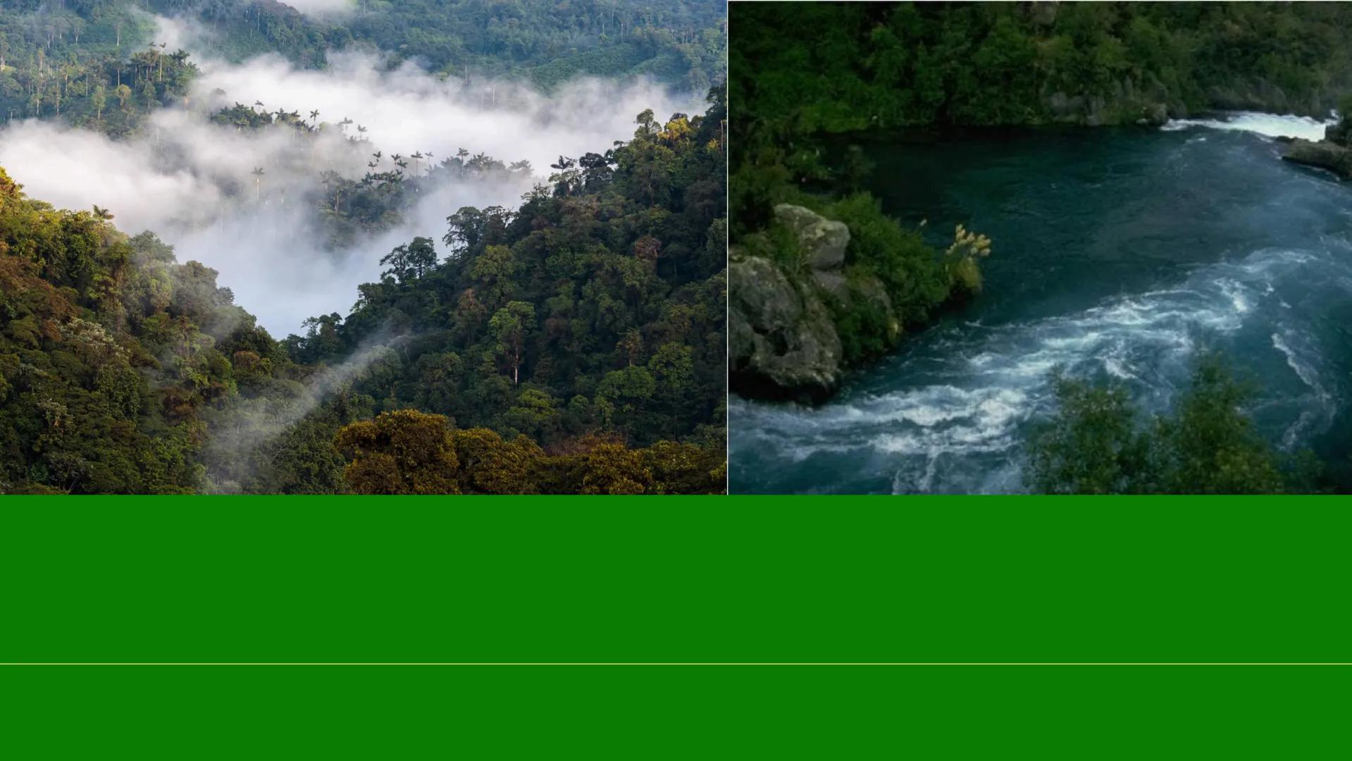 TERMINOS
ECOLOGICOS CONSEPTOS
BASICOS DE
ECOLOGIA ¿QUE SON?
la ecologia es una rama de la biologia que estudia las interacciones
de los sere