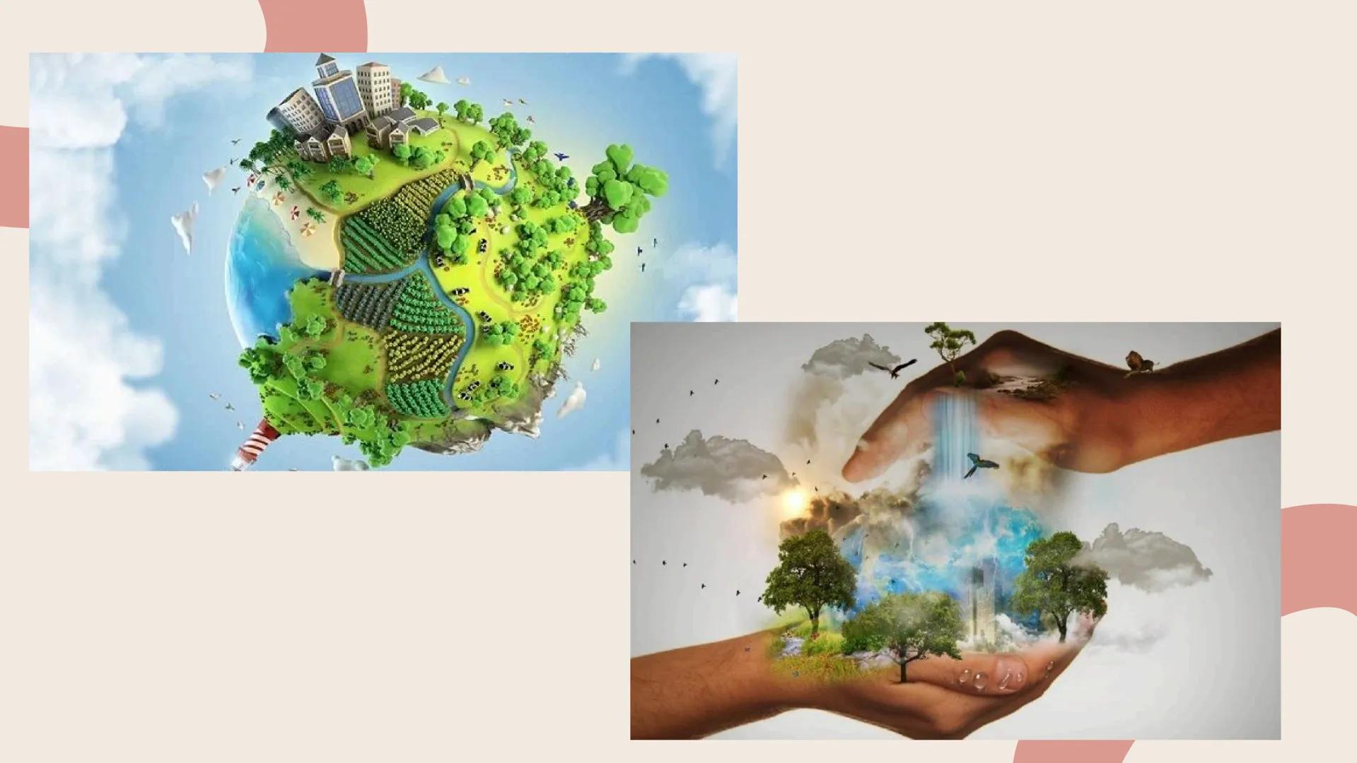 TERMINOS
ECOLOGICOS CONSEPTOS
BASICOS DE
ECOLOGIA ¿QUE SON?
la ecologia es una rama de la biologia que estudia las interacciones
de los sere