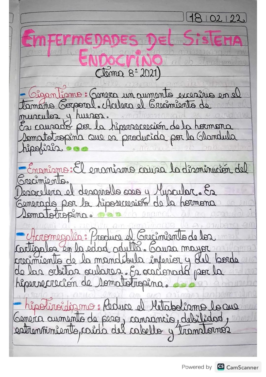 Enfermedades del sistema endocrino 