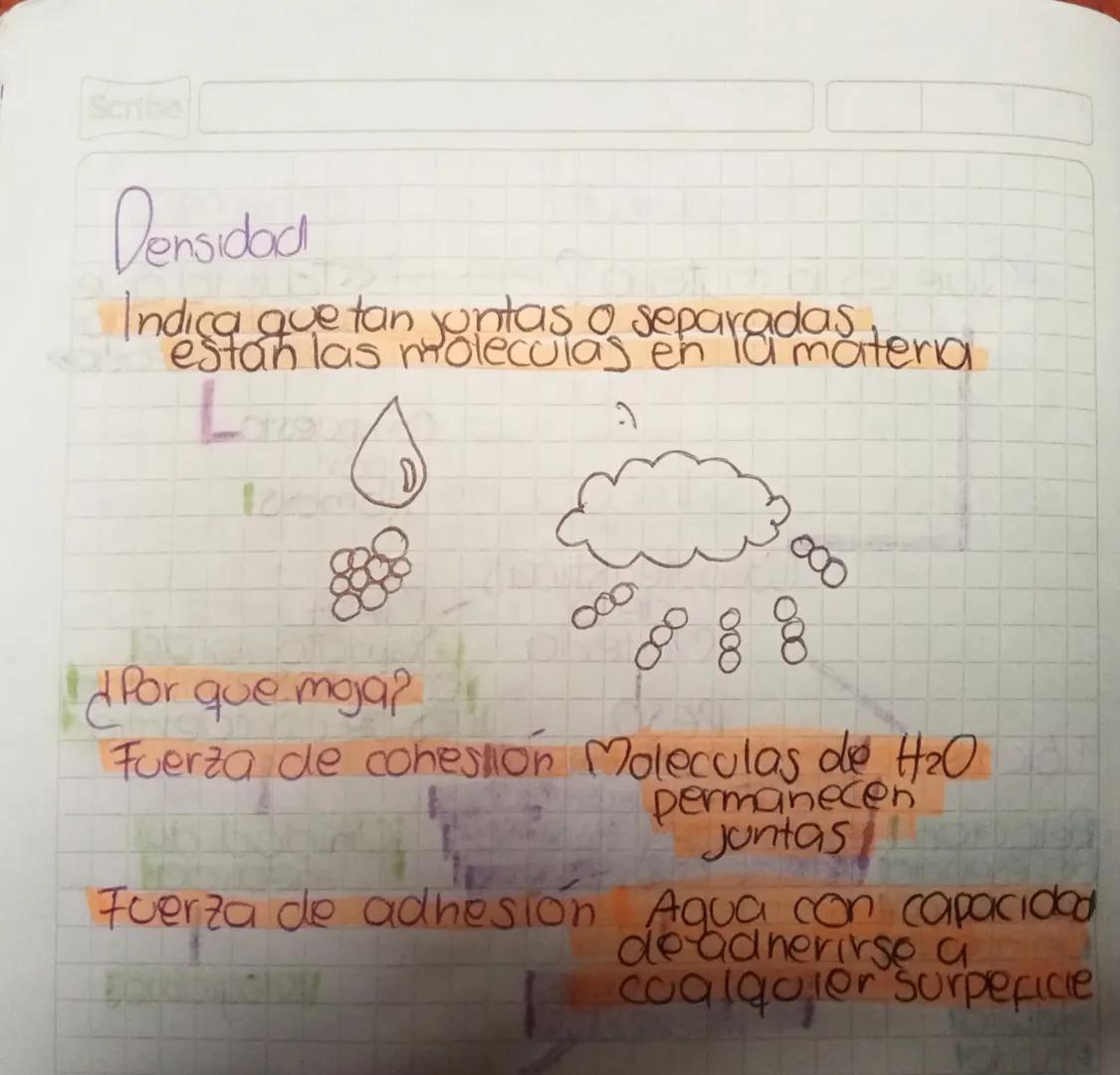 Scribe
¿Que es la materia?
Todo lo que
ocopa on logar
en el espacio»>
Compuesta
por
átomos
Caracteristicas MASA
de la
Materia
PESb
Soumatori