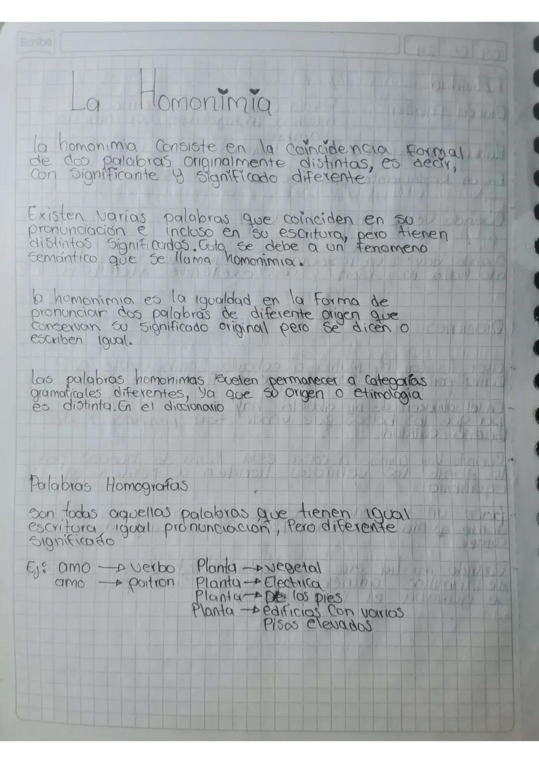 Scribe

# La Homonimia

la homonimia Consiste en la coincidencia formal
de dos palabras Originalmente distintas, es decir,
Con Significante 
