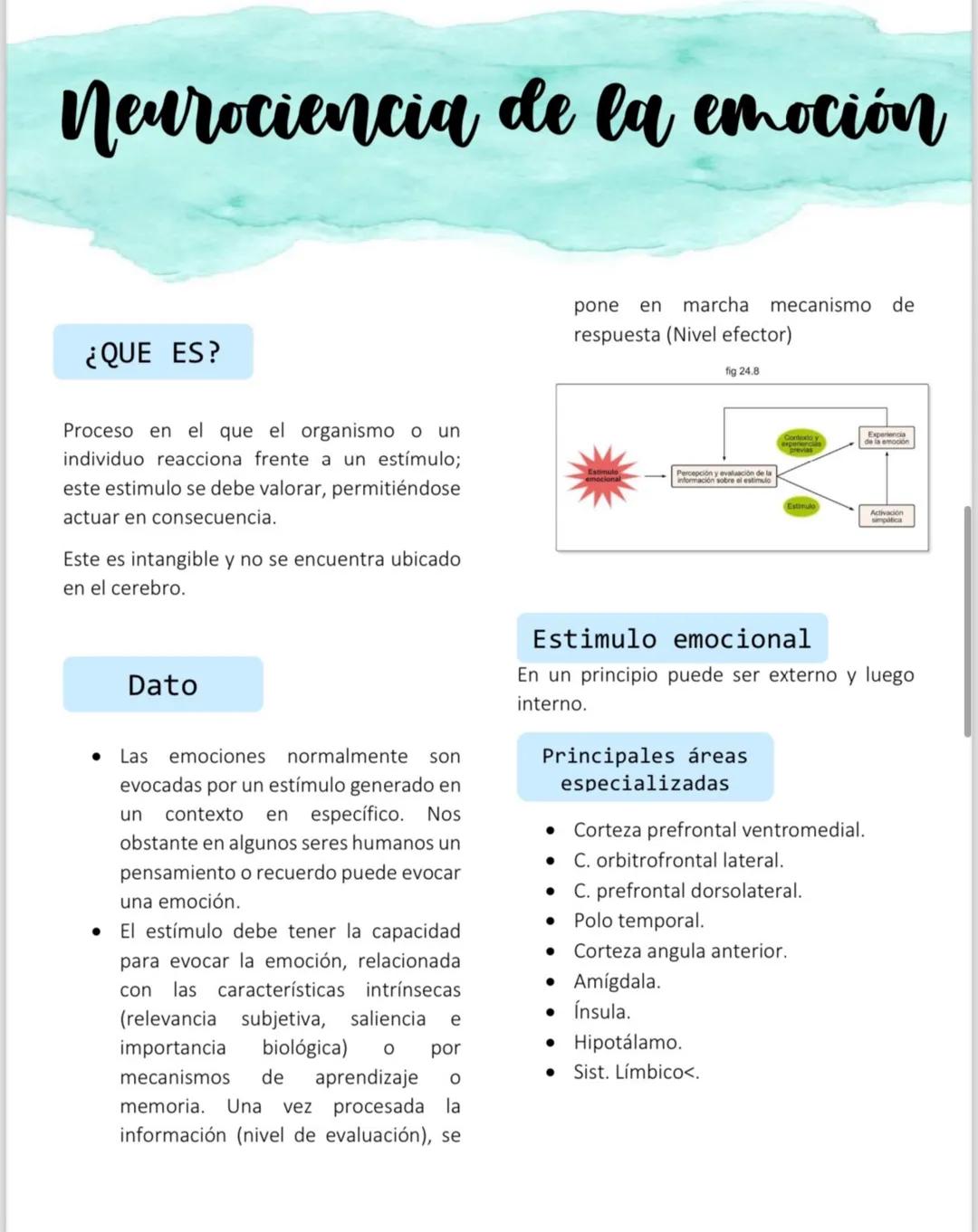Métodos histológicos
Ablación experimental
Se debe abrir el cráneo y sacar un
pedacito (TUMORES)
• Se realiza una lesión en una zona en
espe