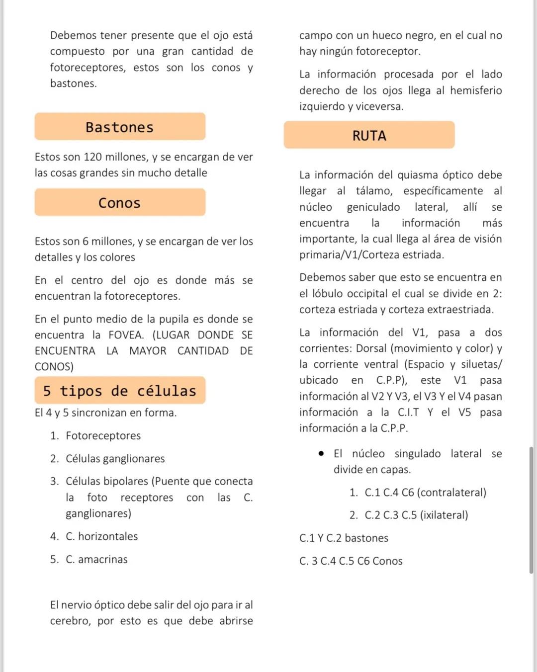Métodos histológicos
Ablación experimental
Se debe abrir el cráneo y sacar un
pedacito (TUMORES)
• Se realiza una lesión en una zona en
espe