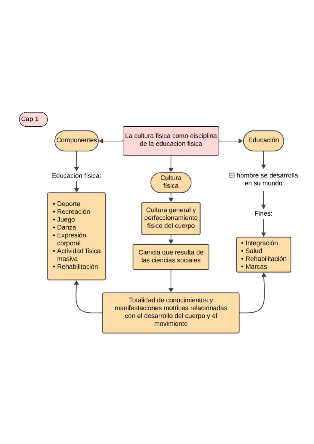 La Importancia de la Cultura Física en Nuestra Vida