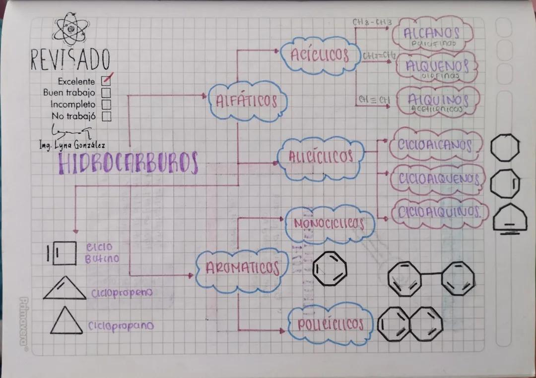 Hidrocarburos: Todo lo que Necesitas Saber