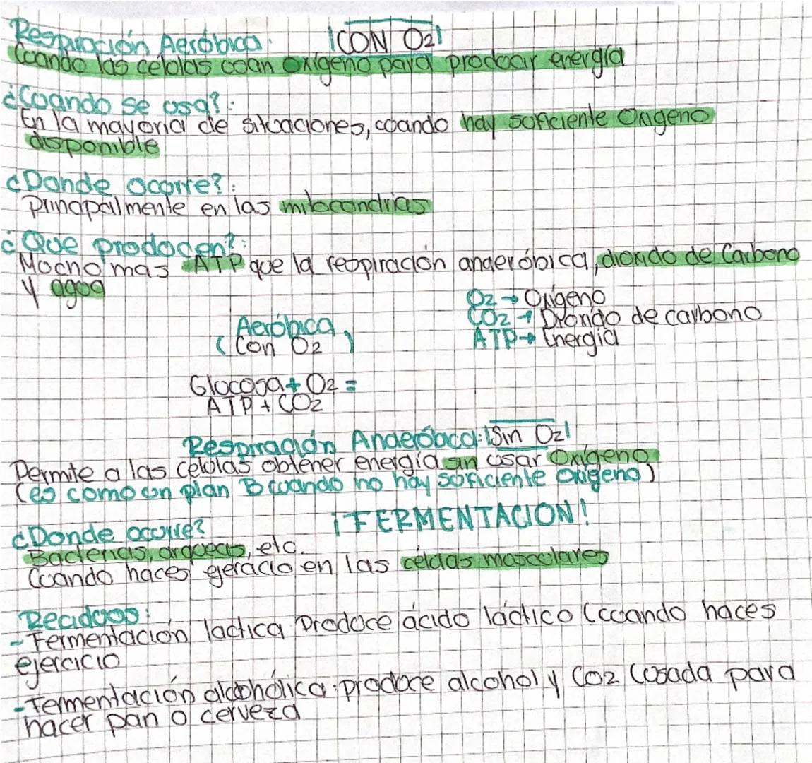 CON O2
Respiración Aeróbica
Cuando las celolas coan oxigeño para prodbar energia

¿Cuando se usa?:
En la mayoría de situaciones, cocando hay