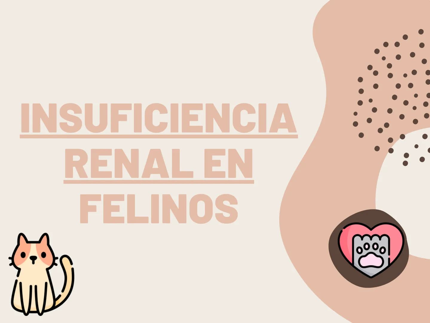 INSUFICIENCIA
RENAL EN
FELINOS INSUFICIENCIA
RENAL AGUDA METODOS FÍSICOS
INSPECCIÓN Y PALPACIÓN ...
• Evitar la palpación abdominal, ya que
