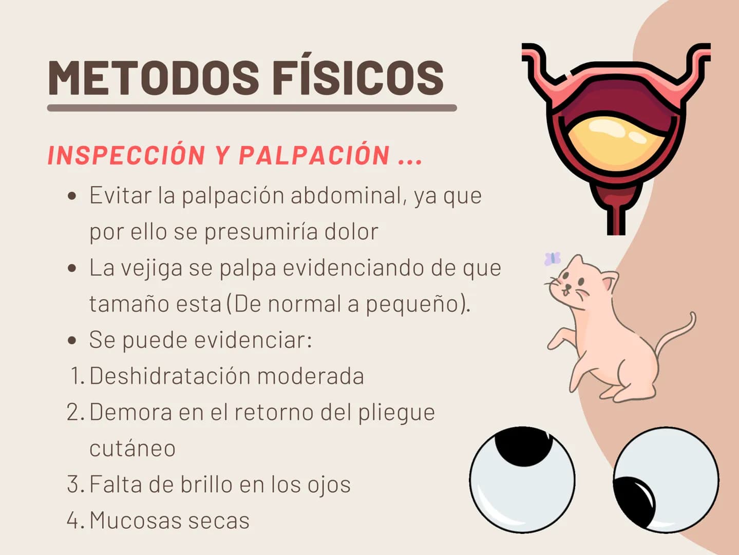 INSUFICIENCIA
RENAL EN
FELINOS INSUFICIENCIA
RENAL AGUDA METODOS FÍSICOS
INSPECCIÓN Y PALPACIÓN ...
• Evitar la palpación abdominal, ya que

