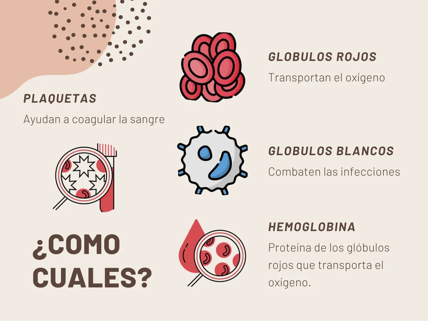 INSUFICIENCIA
RENAL EN
FELINOS INSUFICIENCIA
RENAL AGUDA METODOS FÍSICOS
INSPECCIÓN Y PALPACIÓN ...
• Evitar la palpación abdominal, ya que
