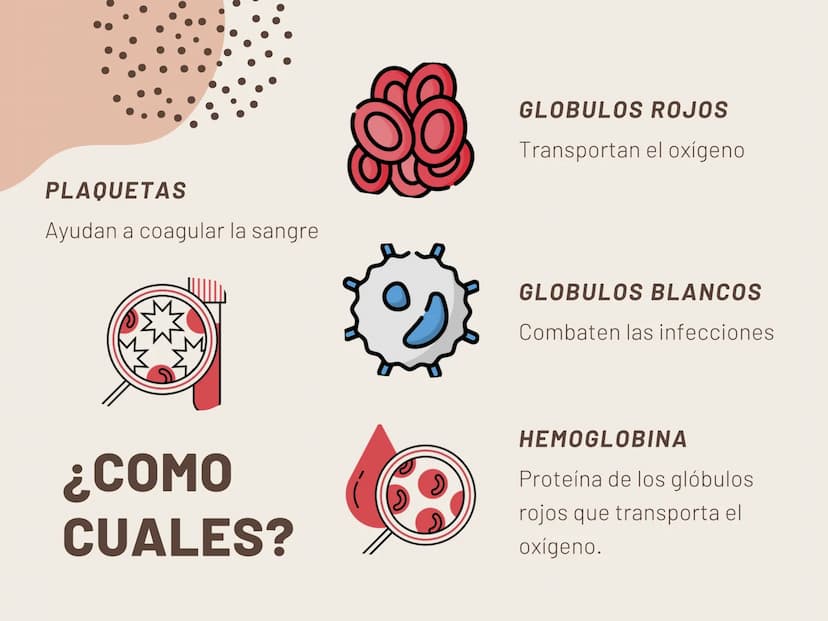 INSUFICIENCIA
RENAL EN
FELINOS INSUFICIENCIA
RENAL AGUDA METODOS FÍSICOS
INSPECCIÓN Y PALPACIÓN ...
• Evitar la palpación abdominal, ya que
