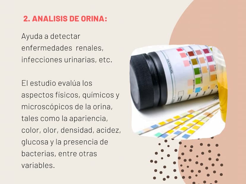 INSUFICIENCIA
RENAL EN
FELINOS INSUFICIENCIA
RENAL AGUDA METODOS FÍSICOS
INSPECCIÓN Y PALPACIÓN ...
• Evitar la palpación abdominal, ya que
