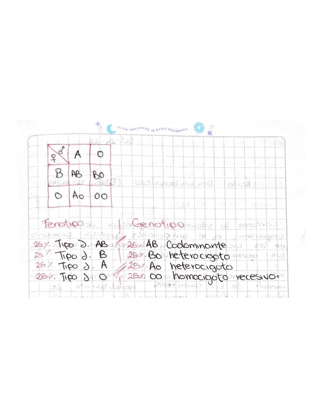 SLOW PROGRESS IS STILL PROGRESE
LA HERENCIA DEL GRUPO
SANGUÍNEO
Se
de be
a la
en
la
Superficie
las
cuales
Son
presencia
de unas
proteinas
Au