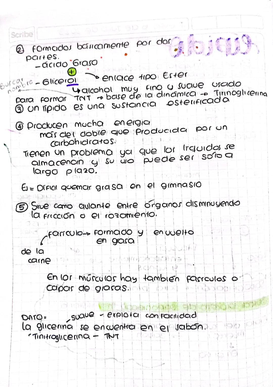 Jueves 6 de Julio de 2023
Scribe
# lipido
① Es un compuesto a biocompuesto orgánico (a
base de carbono) igual que los carbohidratos.

Tiene 
