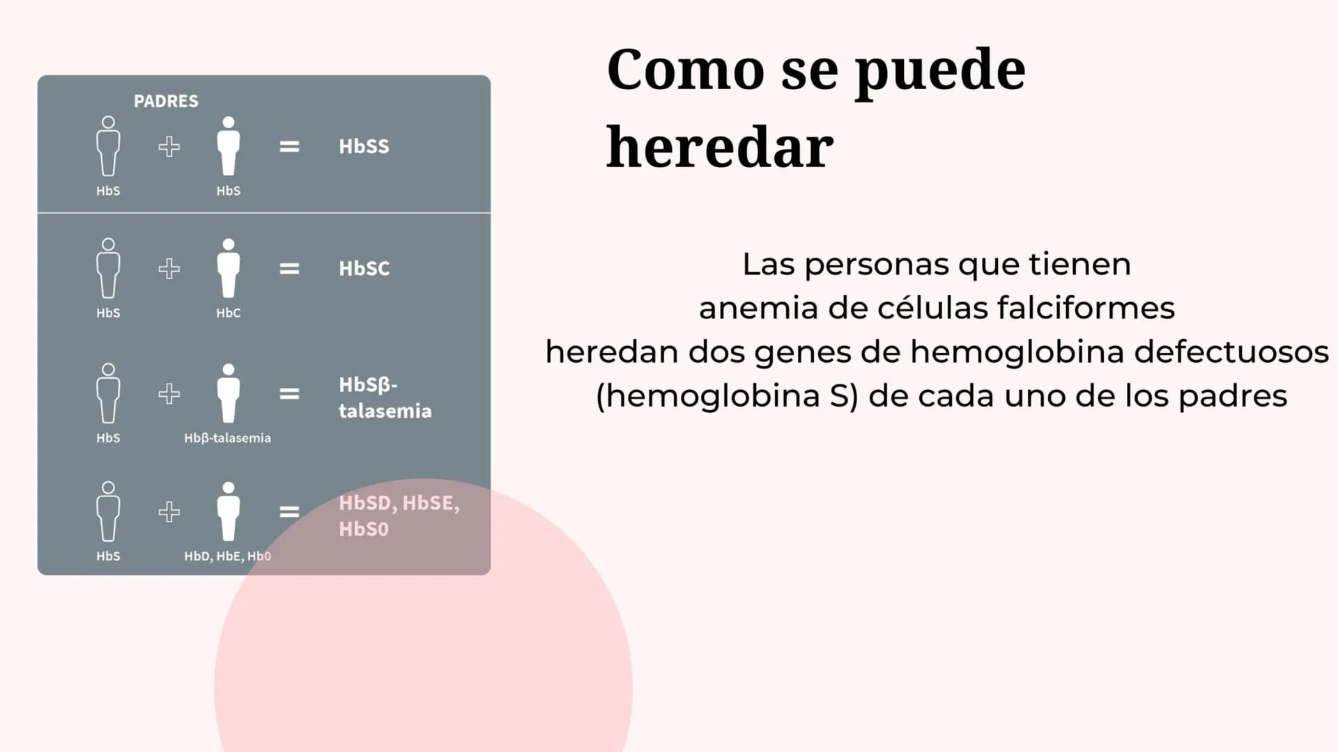 ¿Que es anemia falciforme?
• La anemia falciforme es un grupo de
trastornos hereditarios en los que los
glóbulos rojos adquieren forma de ho