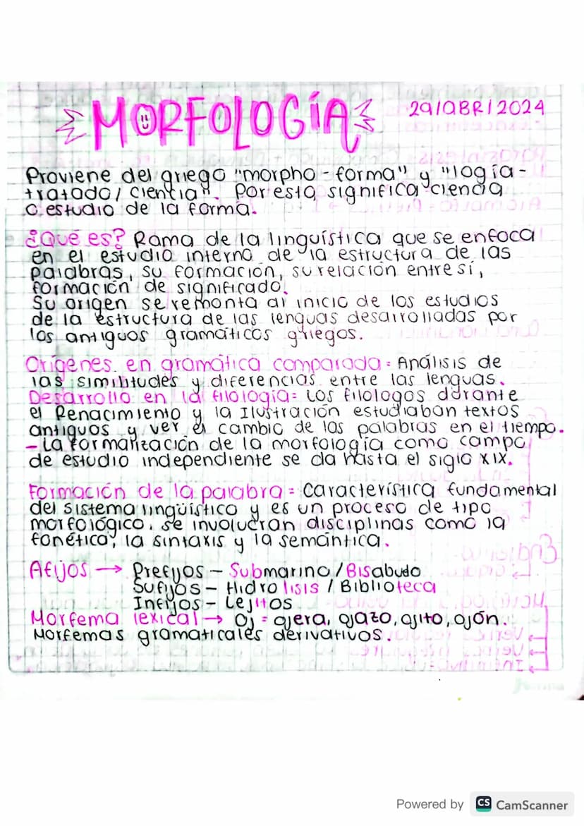 MORFOLOGIA
29/08/2024
29/0BR/2024
3=2/25 la 2070
9
Proviene del griego "morpho - forma" y "logia-
tratado/ ciencia". Por esto significa clen