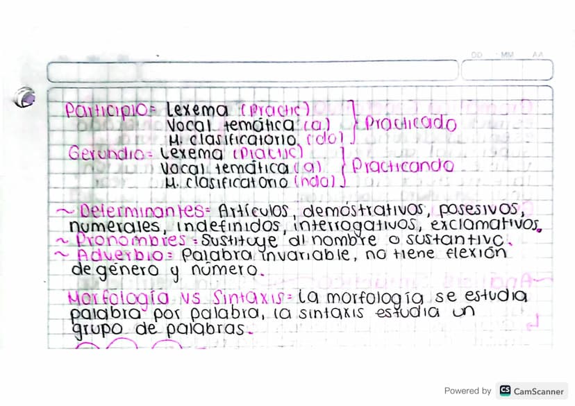 MORFOLOGIA
29/08/2024
29/0BR/2024
3=2/25 la 2070
9
Proviene del griego "morpho - forma" y "logia-
tratado/ ciencia". Por esto significa clen