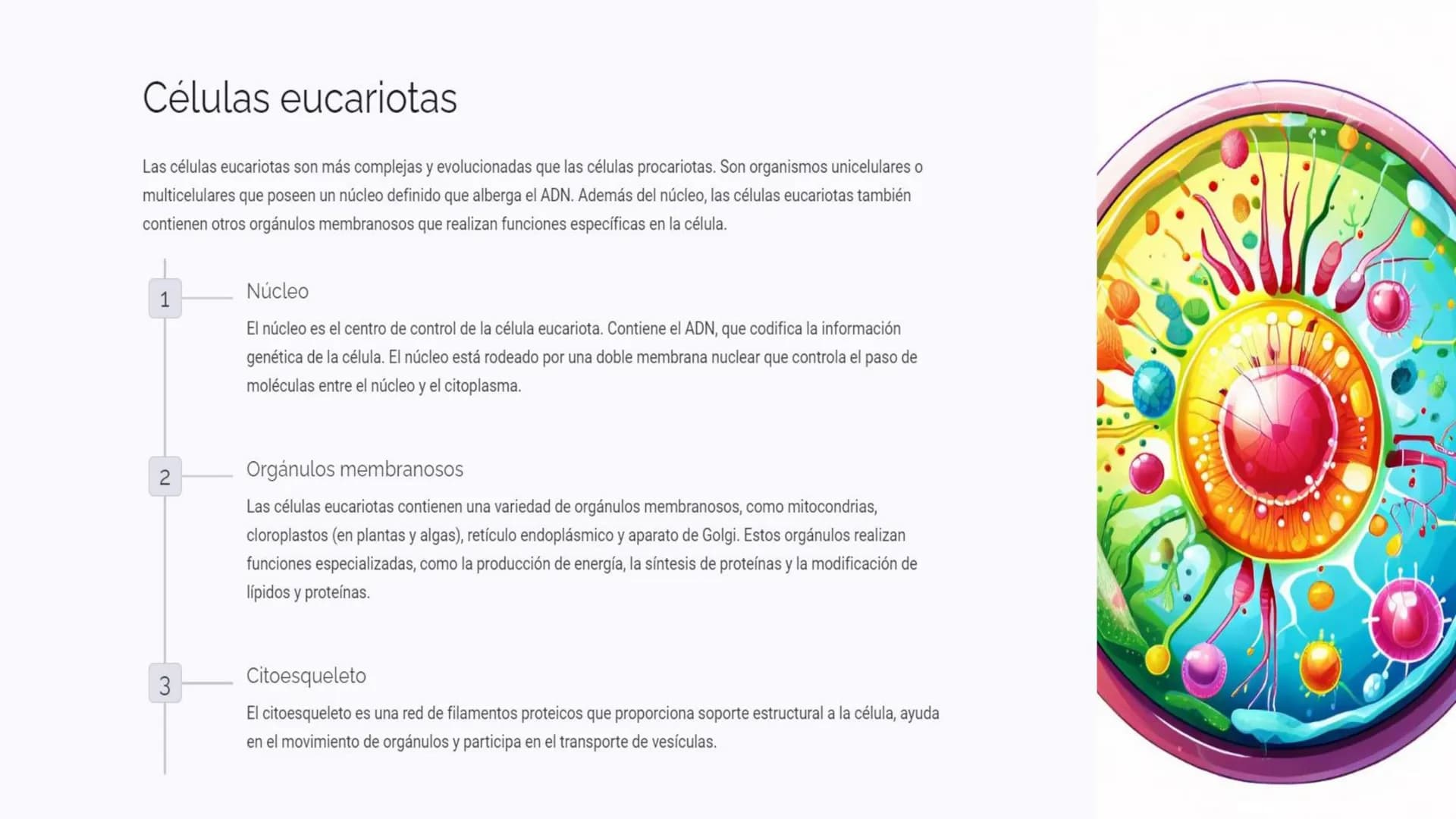 Introducción a los
tipos de células
La célula es la unidad fundamental de la vida. Todos los organismos vivos, desde
los más simples hasta l