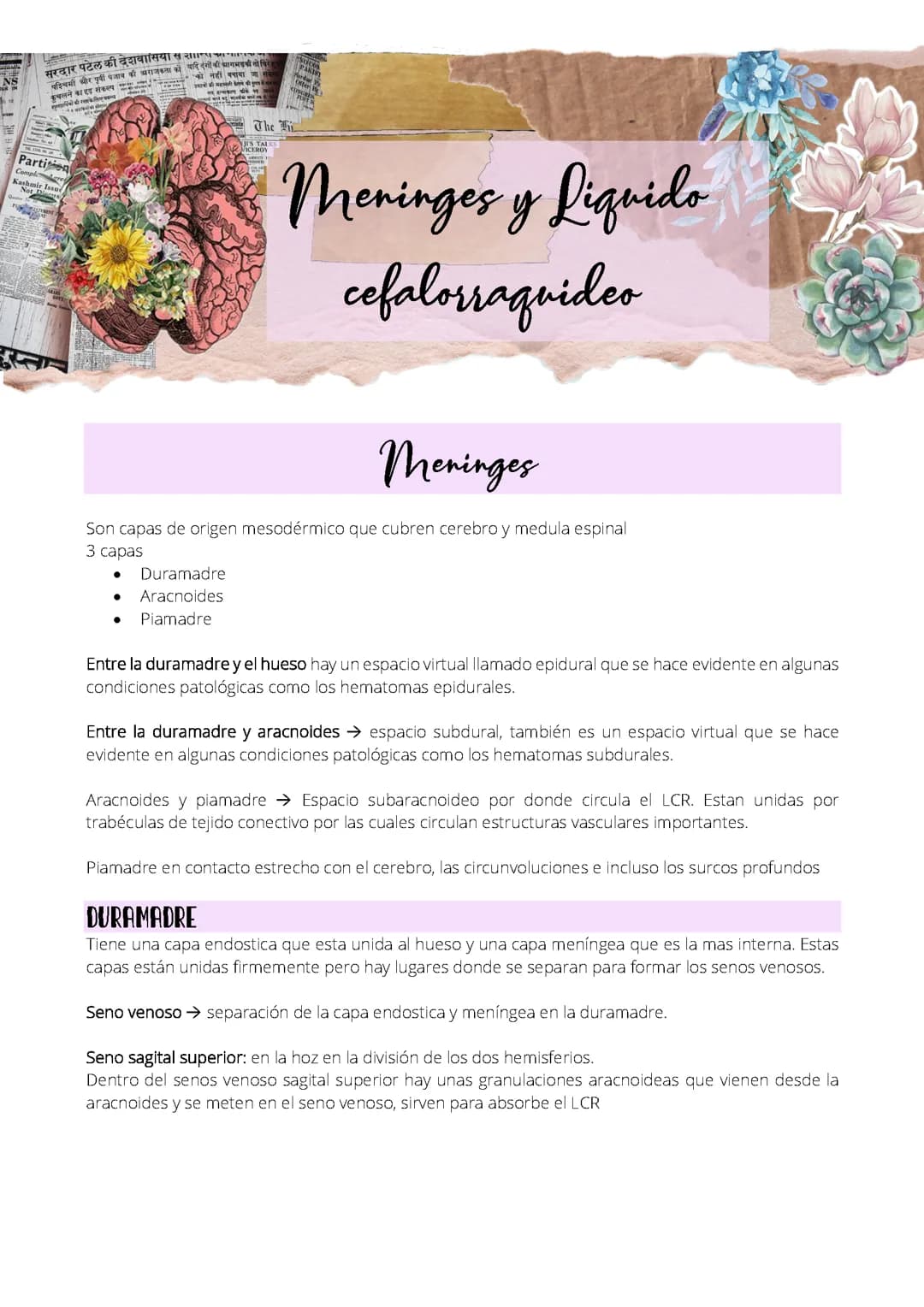Meninges y líquido cefalorraquídeo 