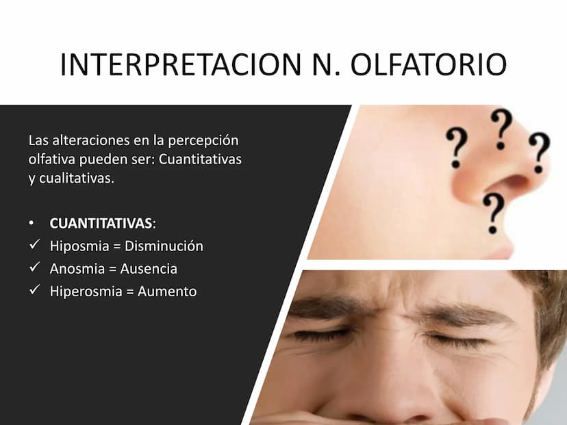 PARES CRANEALES
Existen 12 pares de nervios
craneales que salen del
cerebro y pasan a través de
emergencia
fisuras y orificios del cráneo
ex