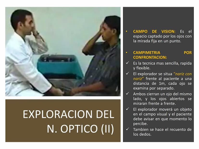PARES CRANEALES
Existen 12 pares de nervios
craneales que salen del
cerebro y pasan a través de
emergencia
fisuras y orificios del cráneo
ex