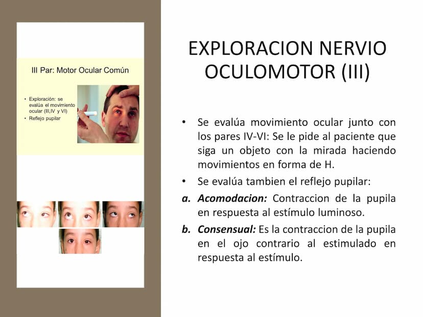 PARES CRANEALES
Existen 12 pares de nervios
craneales que salen del
cerebro y pasan a través de
emergencia
fisuras y orificios del cráneo
ex