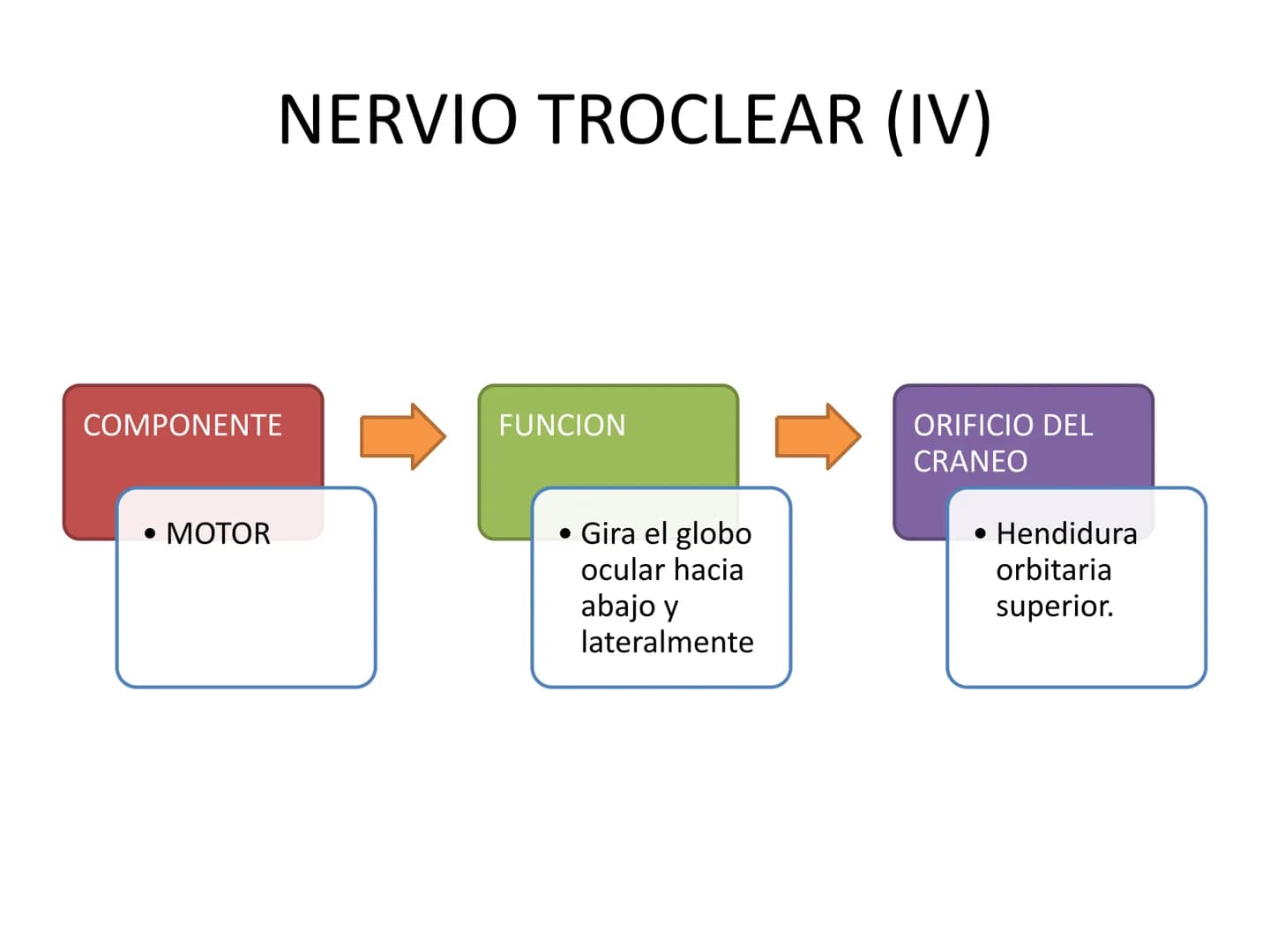 PARES CRANEALES
Existen 12 pares de nervios
craneales que salen del
cerebro y pasan a través de
emergencia
fisuras y orificios del cráneo
ex