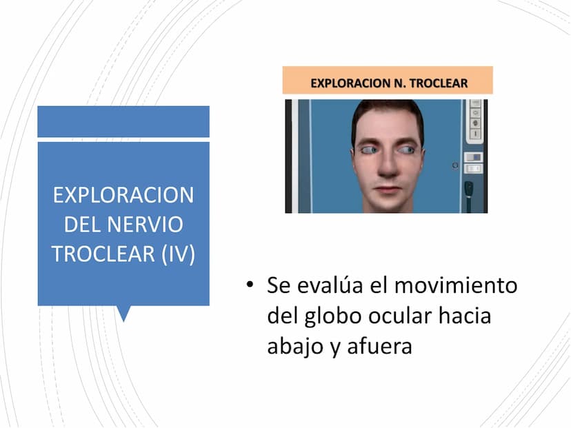 PARES CRANEALES
Existen 12 pares de nervios
craneales que salen del
cerebro y pasan a través de
emergencia
fisuras y orificios del cráneo
ex