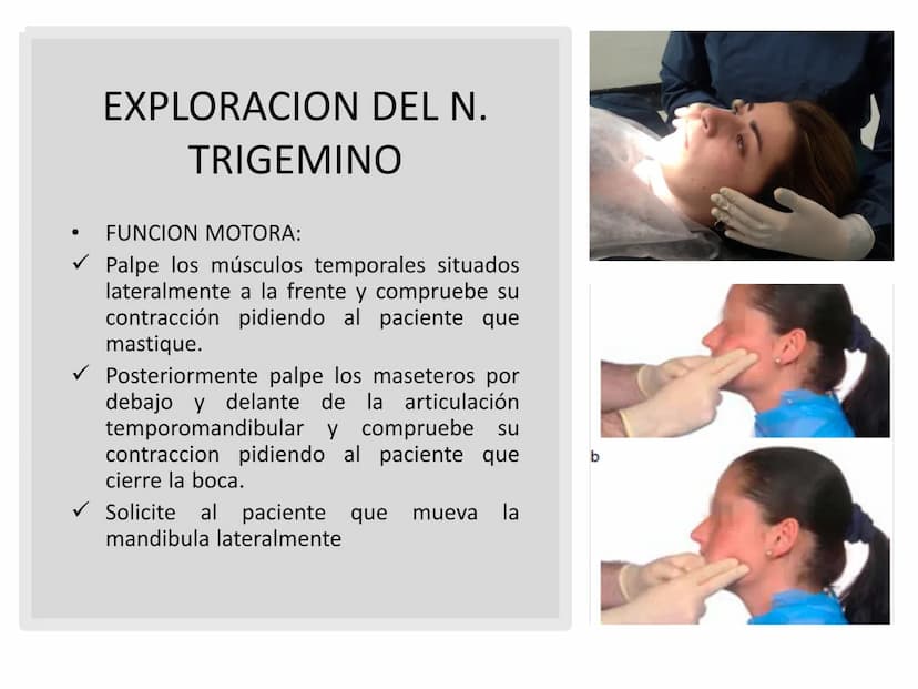 PARES CRANEALES
Existen 12 pares de nervios
craneales que salen del
cerebro y pasan a través de
emergencia
fisuras y orificios del cráneo
ex