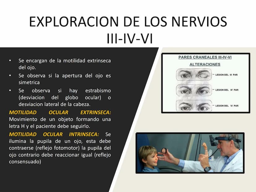 PARES CRANEALES
Existen 12 pares de nervios
craneales que salen del
cerebro y pasan a través de
emergencia
fisuras y orificios del cráneo
ex