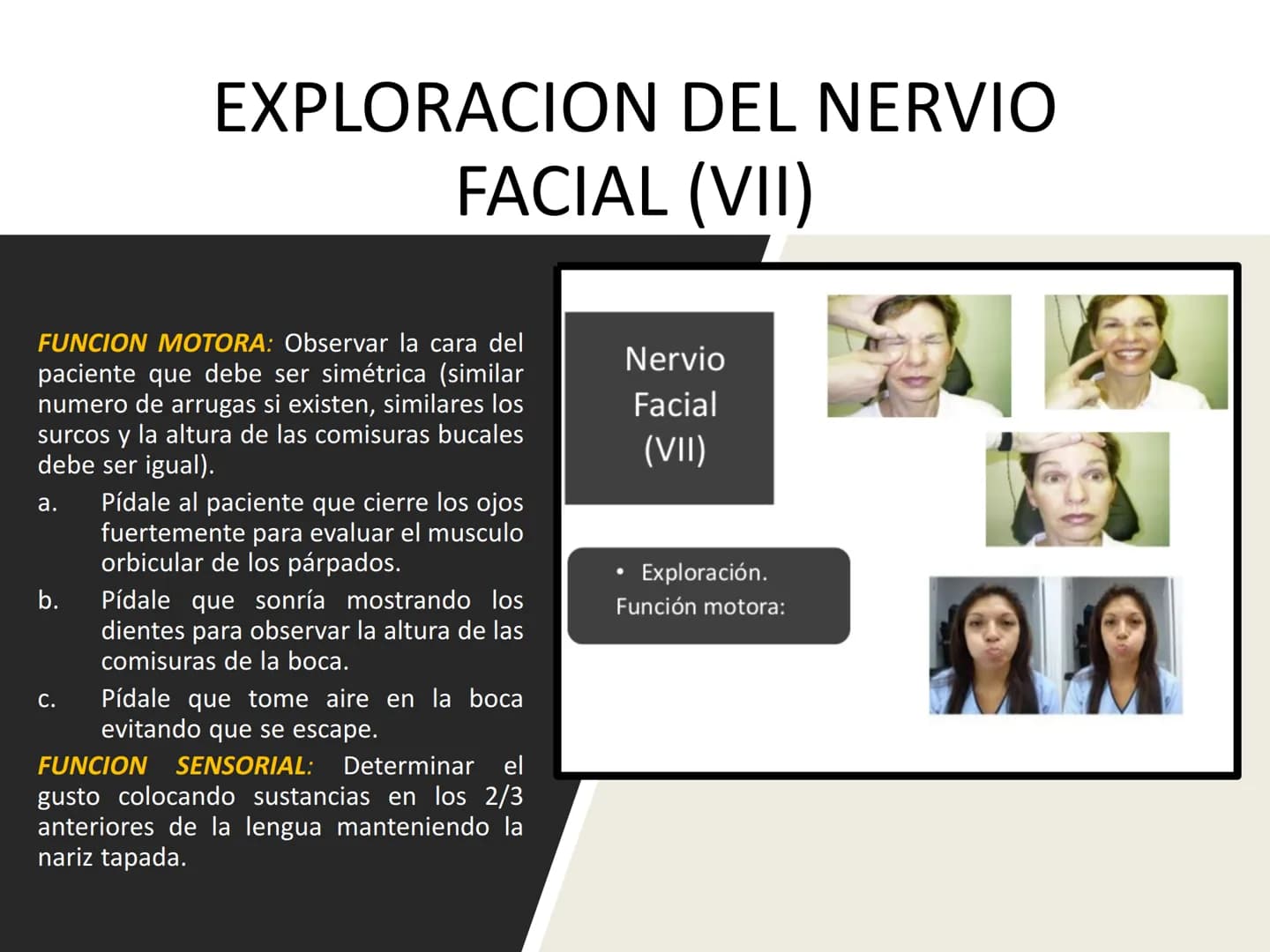 PARES CRANEALES
Existen 12 pares de nervios
craneales que salen del
cerebro y pasan a través de
emergencia
fisuras y orificios del cráneo
ex
