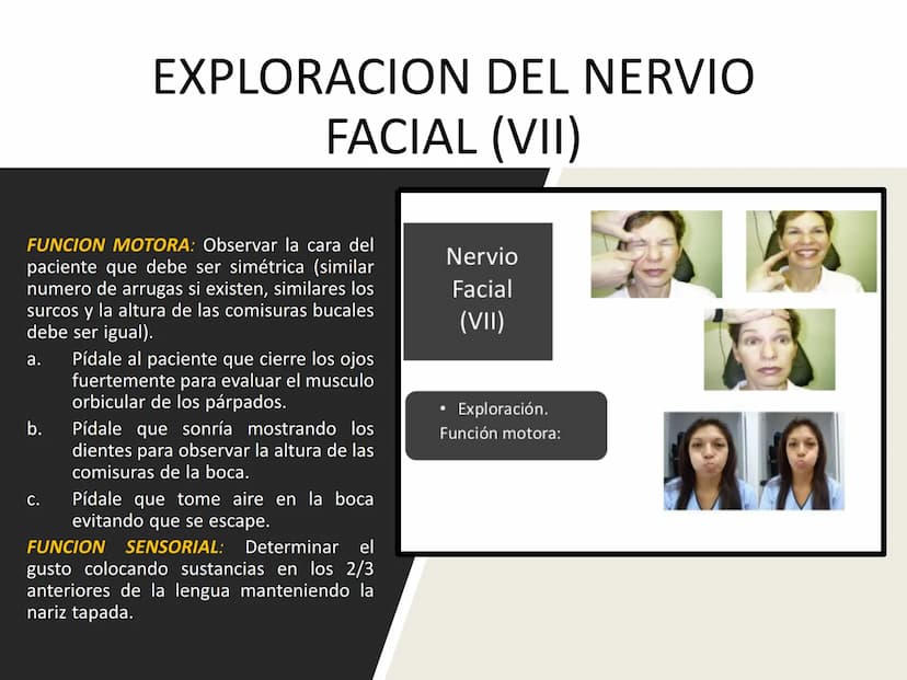 PARES CRANEALES
Existen 12 pares de nervios
craneales que salen del
cerebro y pasan a través de
emergencia
fisuras y orificios del cráneo
ex