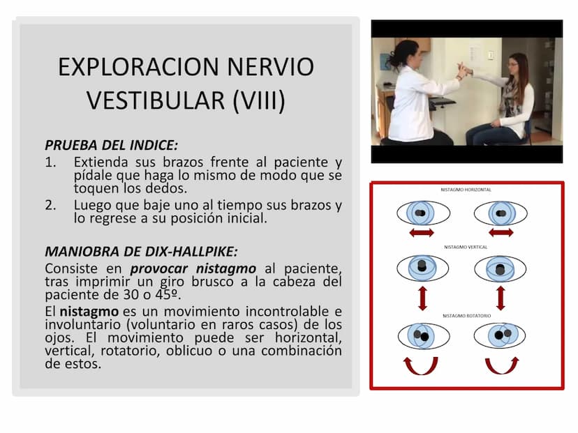PARES CRANEALES
Existen 12 pares de nervios
craneales que salen del
cerebro y pasan a través de
emergencia
fisuras y orificios del cráneo
ex