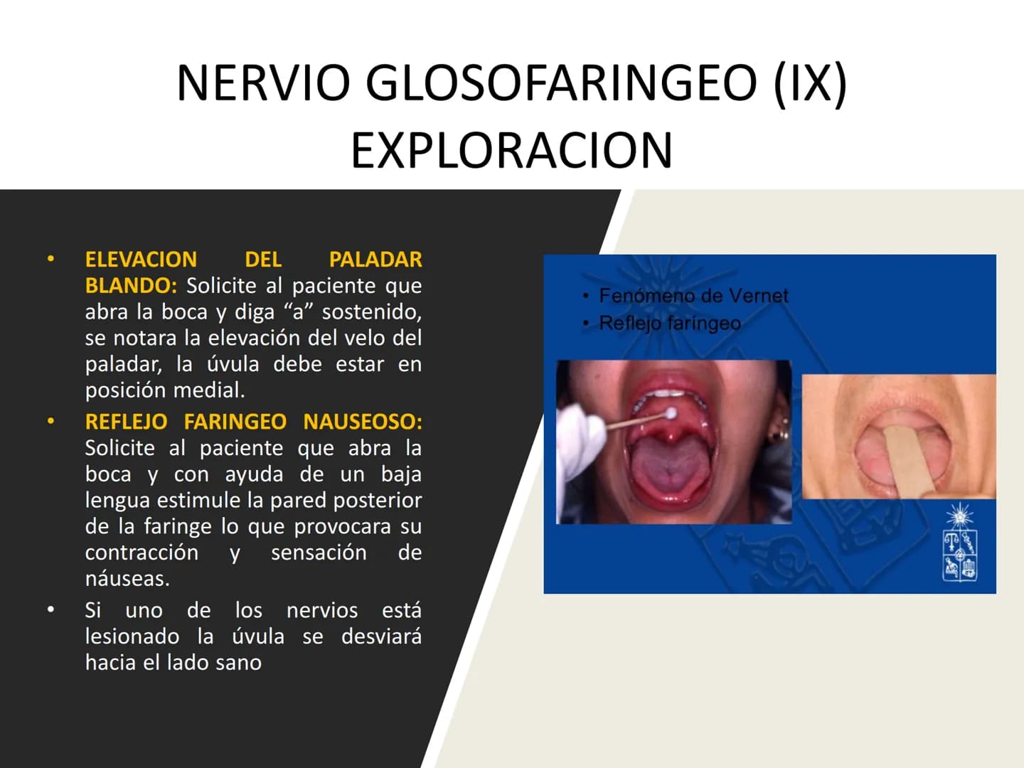 PARES CRANEALES
Existen 12 pares de nervios
craneales que salen del
cerebro y pasan a través de
emergencia
fisuras y orificios del cráneo
ex