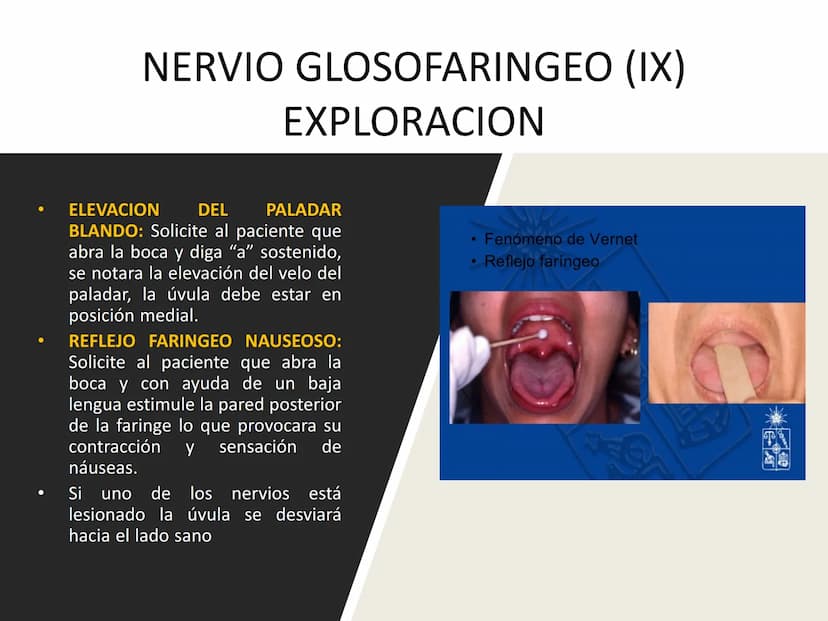 PARES CRANEALES
Existen 12 pares de nervios
craneales que salen del
cerebro y pasan a través de
emergencia
fisuras y orificios del cráneo
ex