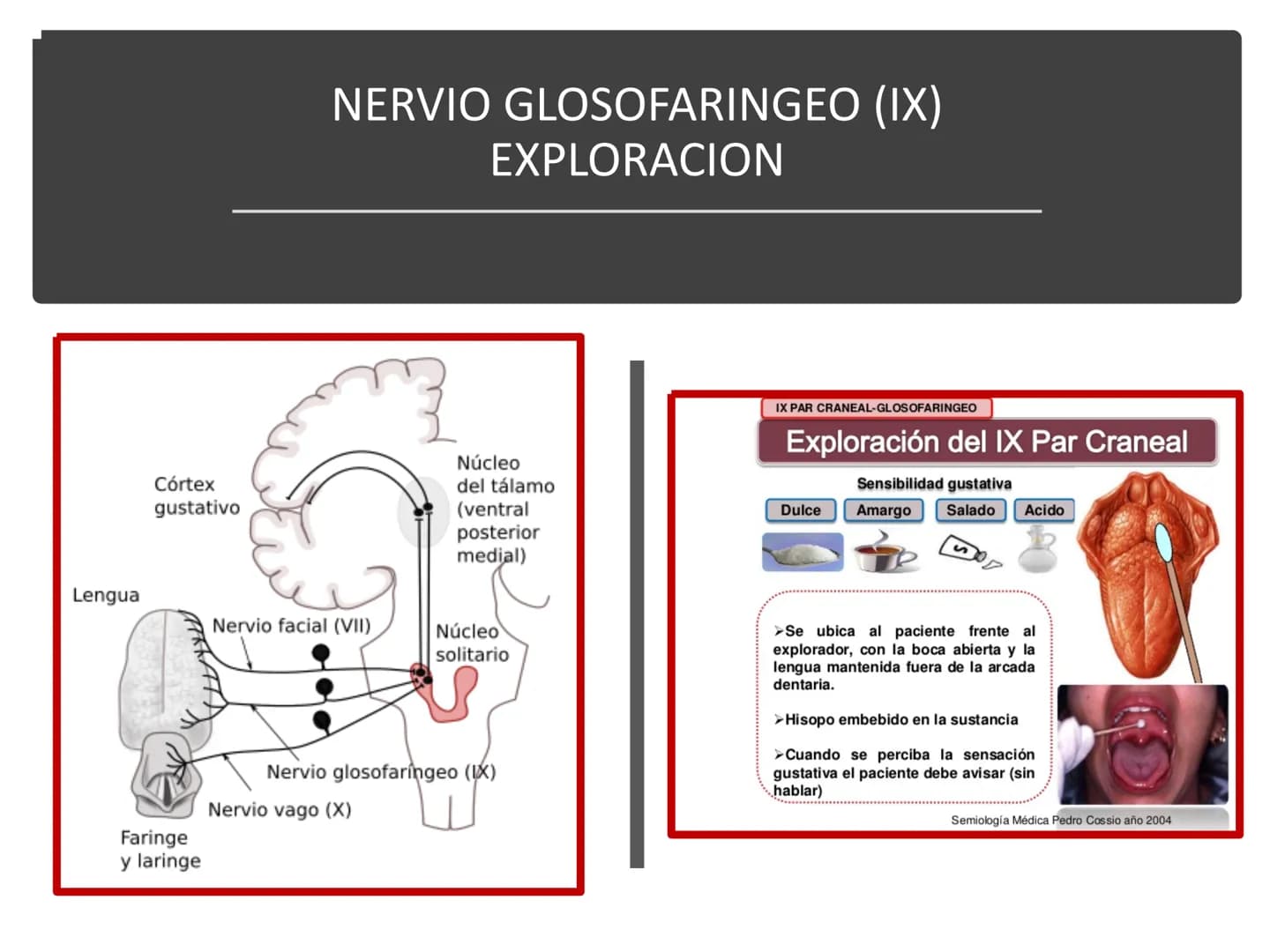 PARES CRANEALES
Existen 12 pares de nervios
craneales que salen del
cerebro y pasan a través de
emergencia
fisuras y orificios del cráneo
ex
