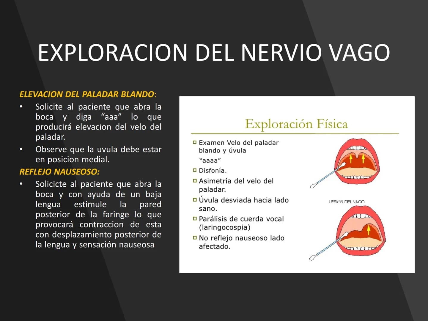 PARES CRANEALES
Existen 12 pares de nervios
craneales que salen del
cerebro y pasan a través de
emergencia
fisuras y orificios del cráneo
ex
