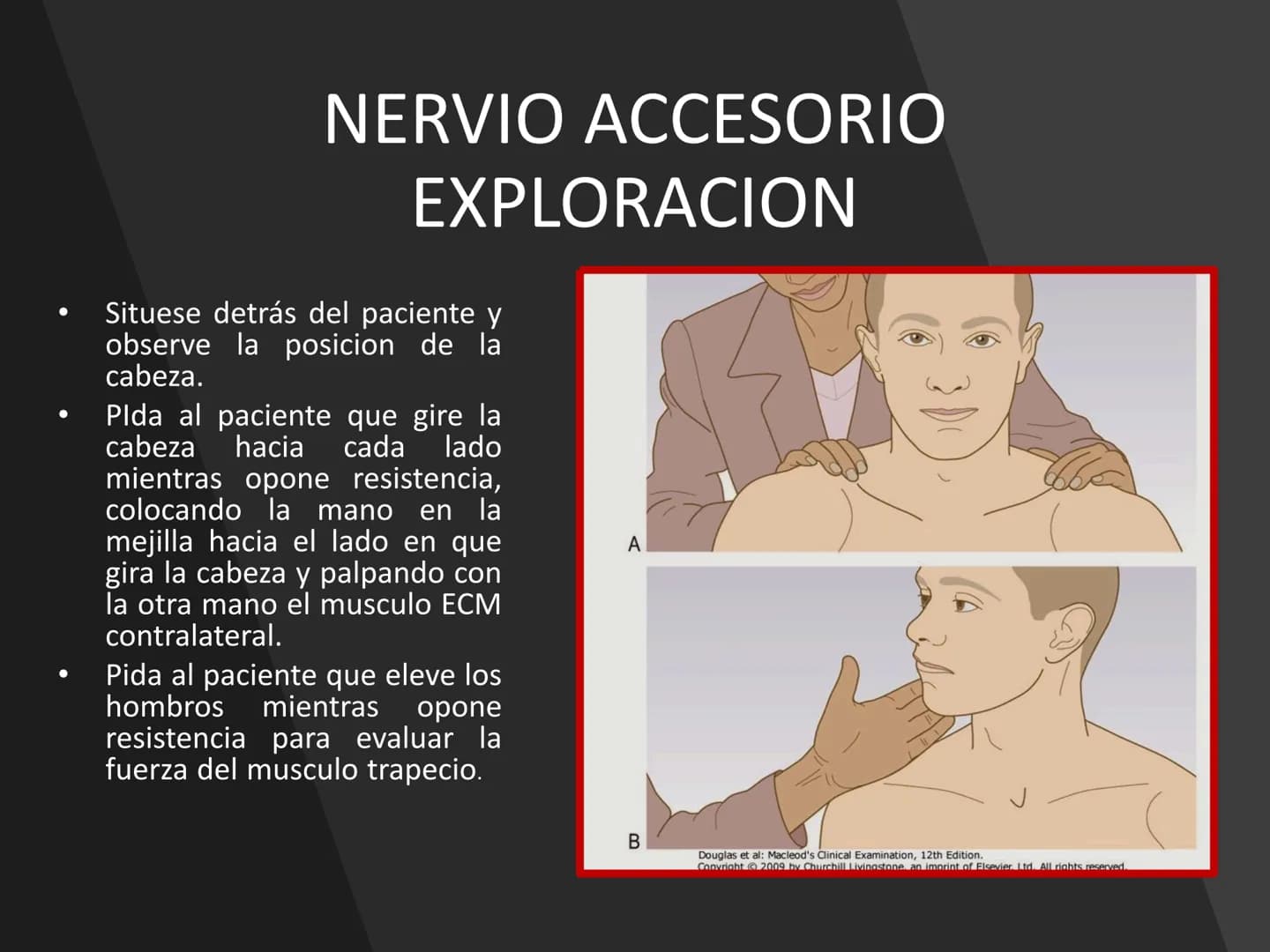 PARES CRANEALES
Existen 12 pares de nervios
craneales que salen del
cerebro y pasan a través de
emergencia
fisuras y orificios del cráneo
ex