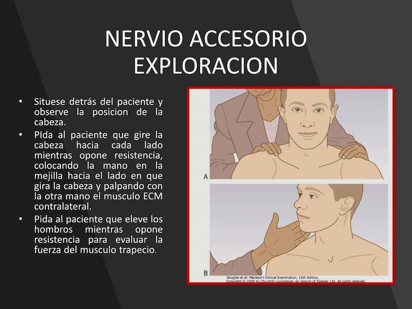 PARES CRANEALES
Existen 12 pares de nervios
craneales que salen del
cerebro y pasan a través de
emergencia
fisuras y orificios del cráneo
ex
