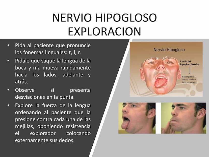 PARES CRANEALES
Existen 12 pares de nervios
craneales que salen del
cerebro y pasan a través de
emergencia
fisuras y orificios del cráneo
ex