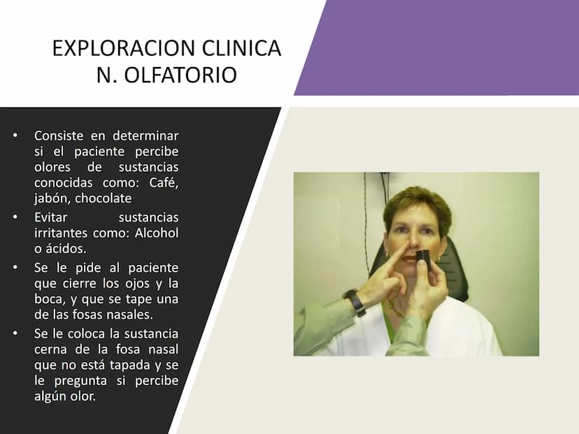 PARES CRANEALES
Existen 12 pares de nervios
craneales que salen del
cerebro y pasan a través de
emergencia
fisuras y orificios del cráneo
ex