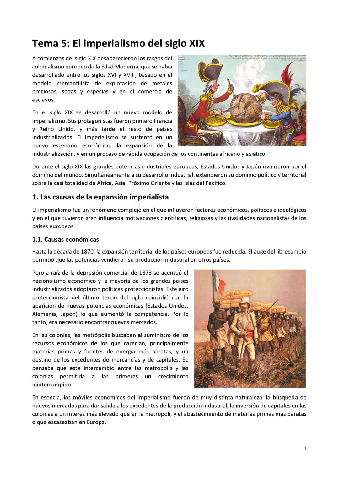 El imperialismo del siglo 19