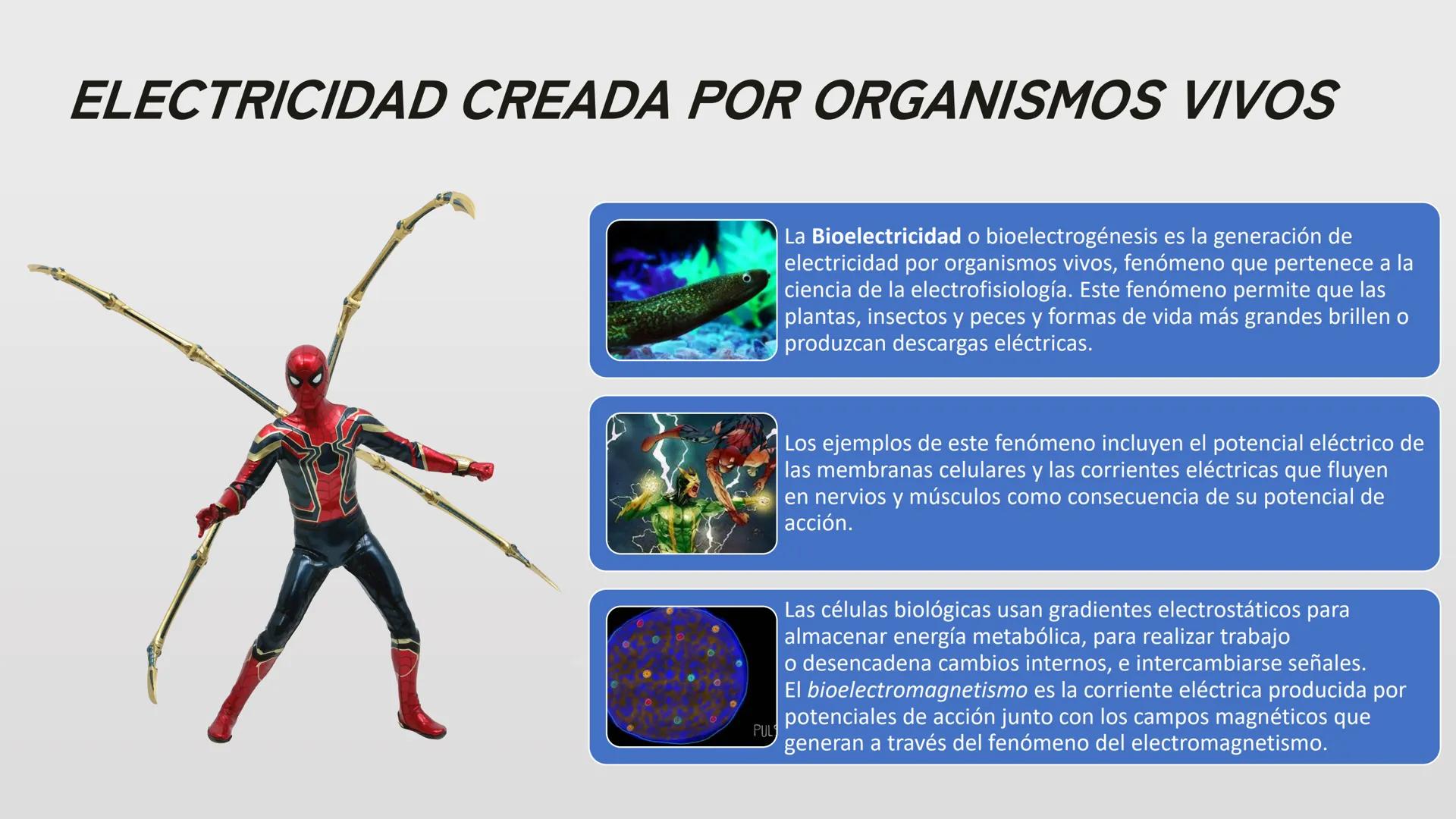 SPIDER-MAN
NO WAY HOME
ANGELI SARITH DURÁN
JAIMES
8-03 SINOPSIS
Tras descubrirse la identidad secreta de
Peter Parker como Spider-Man, la vi