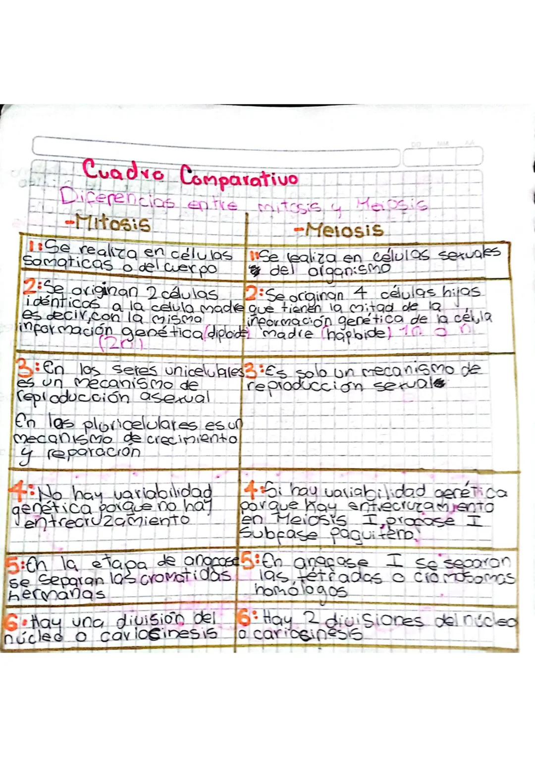 Division Celular
La mitosis tiene 4 etapas que son
etapas de
T. Profase
2. Metafase
la mitosis 3 - Anafose
4. Telofase
2
1 = Profase = Duran