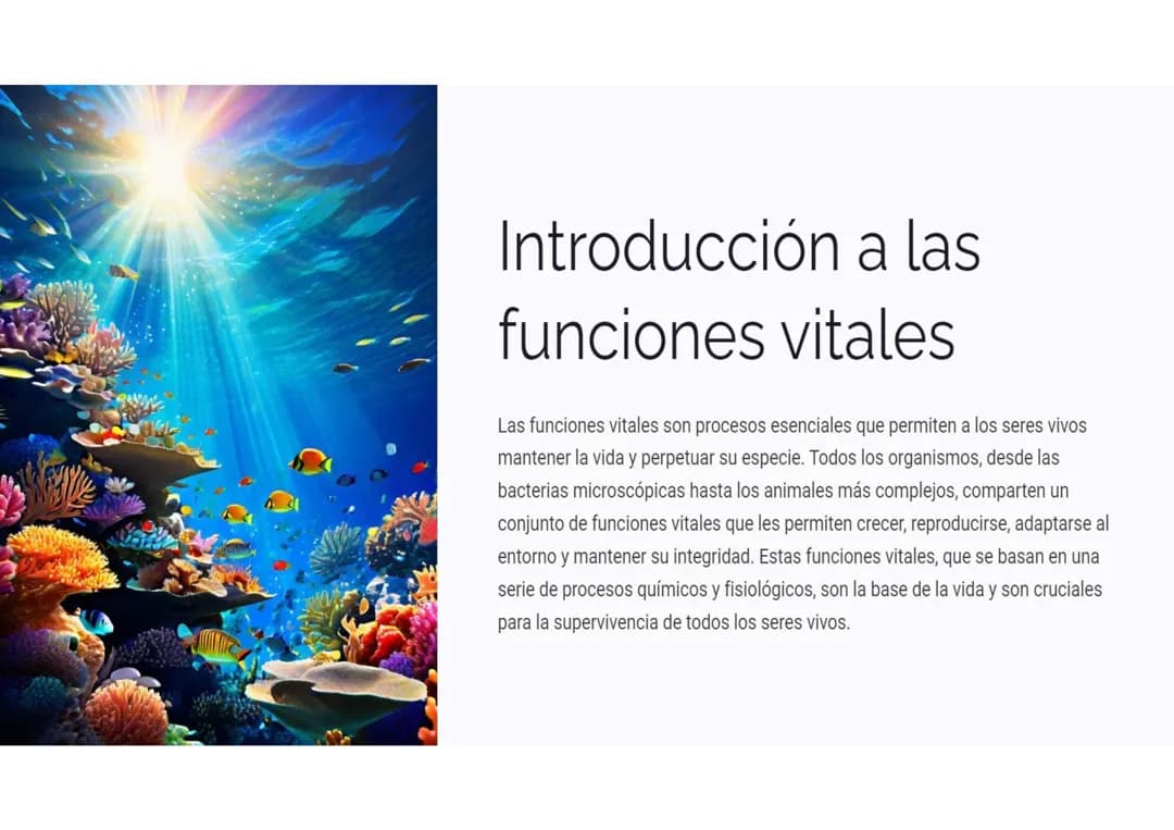 Funciones vitales